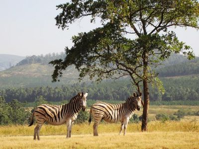 Afrika von seiner schönsten Seite - 24 Tage Tour durch Südafrika, Lesotho und Swaziland