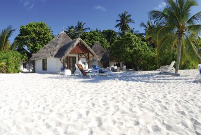 Die Malediven sind nach wie vor eine familien- und taucherfreundliche Destination mit bezahlbaren Angeboten – wenn man weiß, wo! Sub Aqua Tauchreisen hat gerade ein neues Sonderangebot für die im Nord-Male-Atoll gelegene Insel Thulhagiri aufgelegt, bei dem es eine Woche Aufenthalt mit Halbpension und vier Tauchgängen schon für unter 500 Euro gibt!