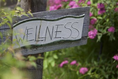 Einige Südtiroler „Roter Hahn“-Bäuerinnen nutzen ihr Kräuterwissen, um in kleinen, feinen Hof-Spas heilende Alpin-Wellness anzubieten