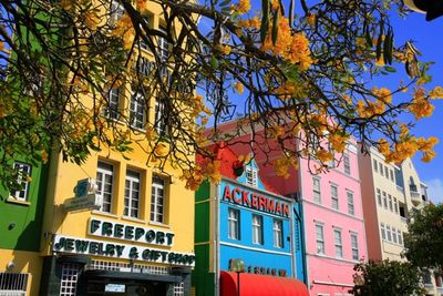 Bunte Haeuserfassaden in Curacao