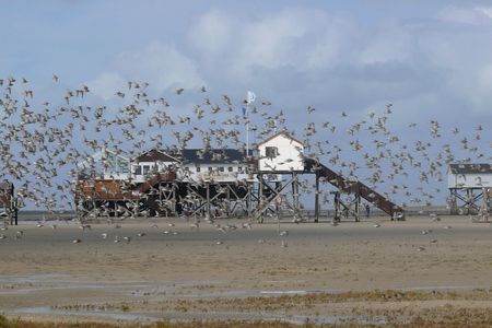 Wattenmeer Station