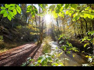 Die Maisinger Schlucht, zwischen Starnberger See und Ammersee/Oberbayern gelegen, ist eine Schmelzwasserrinne, die durch den Rückgang der Gletscher entstanden ist Die Maisinger Schlucht, zwischen Starnberger See und Ammersee/Oberbayern gelegen, ist eine Schmelzwasserrinne, die durch den Rückgang der Gletscher entstanden ist