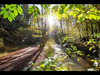 Die Maisinger Schlucht, zwischen Starnberger See und Ammersee/Oberbayern gelegen, ist eine Schmelzwasserrinne, die durch den Rückgang der Gletscher entstanden ist