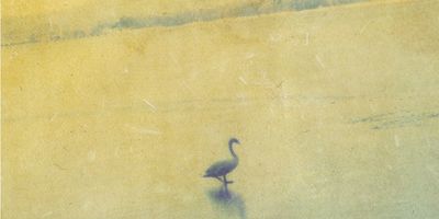 Anna Stern Schneestill