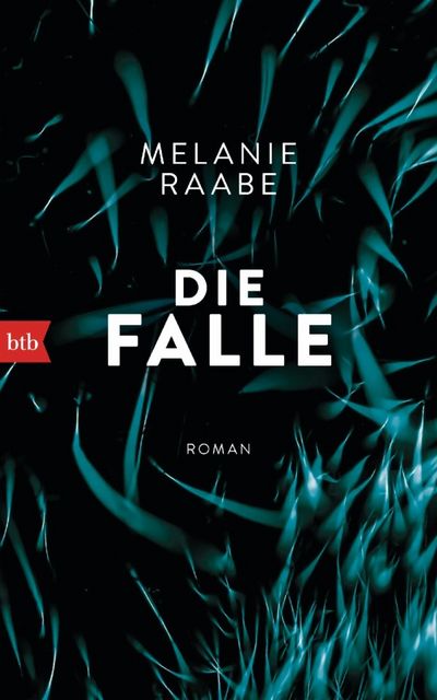 Melanie Raabe - die Falle