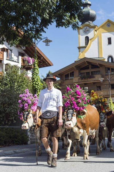 50 Rosen für jede Kuh