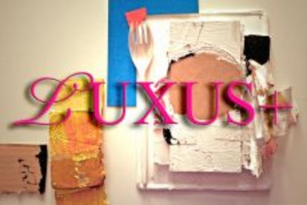LUXUS plus neue ausstellung im museum fluxus plus