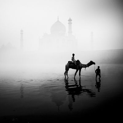 2007 wurde er zum Nature Photographer of the year gewaehlt