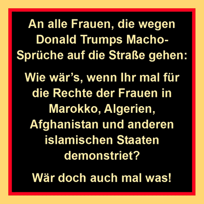 Den Rosa Pussys ist das ware Leid von Frauen und Kindern wohl egal