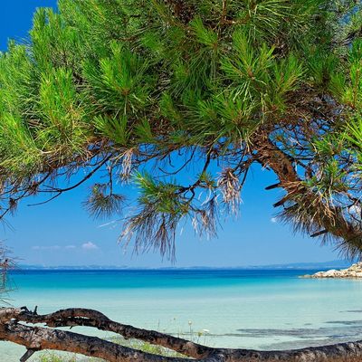 Strand auf der Halbinsel Chalkidiki