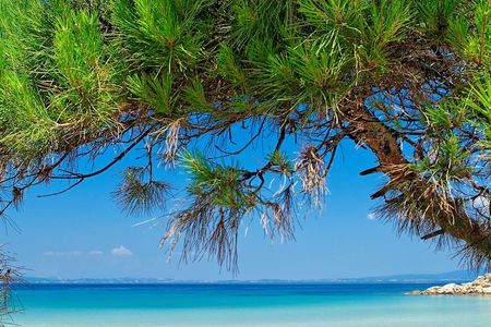 Strand auf der Halbinsel Chalkidiki