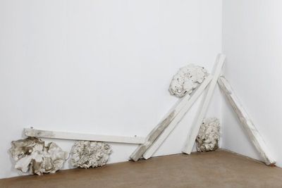 Allyson Vieira werke kunsthalle basel