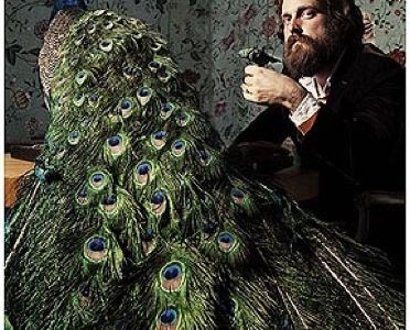 Iron & Wine ist ein Singer-/Songwriter