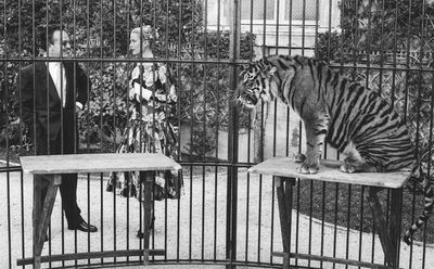 Celebrity Pets - Grace Kelleys erster Besuch in Fürst Rainers privatem Zoo