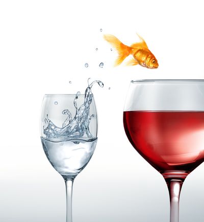 Essen und Trinken einfach geniessen Essen und Trinken einfach geniessen