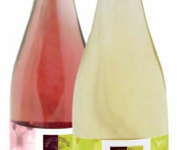 Essen und Trinken Hollerhoefe Holunder Secco