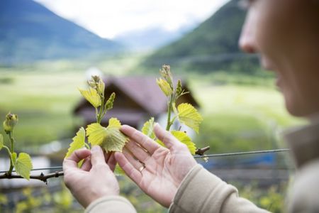 Vinschgau bietet Erholungsprogramm