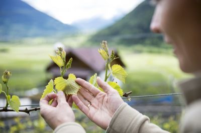 Vinschgau bietet Erholungsprogramm