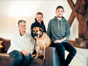 Hofhund Leica vom Roter Hahn Mitglied Gschnofer in Terlan freut sich nicht nur ueber menschliche, sondern auch tierische Urlaubsgefaehrten Hofhund Leica vom Roter Hahn Mitglied Gschnofer in Terlan freut sich nicht nur ueber menschliche, sondern auch tierische Urlaubsgefaehrten
