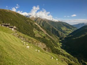 Gleich zwei vom Aussterben bedrohte Nutztierrassen züchtet Familie Gamper auf ihrem „Roter Hahn“-Hof Gfall im Südtiroler Schnalstal Gleich zwei vom Aussterben bedrohte Nutztierrassen züchtet Familie Gamper auf ihrem „Roter Hahn“-Hof Gfall im Südtiroler Schnalstal