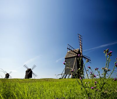Essen und Trinken Kulinarische Reise nach Oeland Windmuehlen