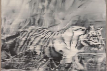 Gerhard Richter, Tiger
