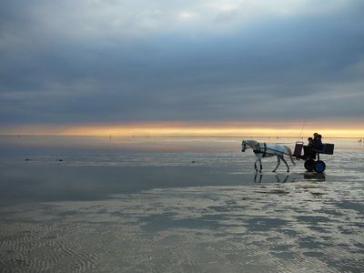 Reisen Cuxhaven Kutsche