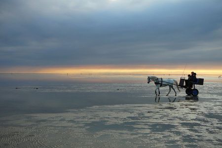 Reisen Cuxhaven Kutsche