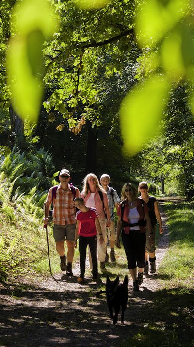 Reisen Wandern Neckarsteig Familie wandert durch die Natur
