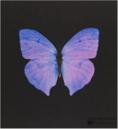 Sammler zahlen horrende Summen für tote Schmetterlinge von Damien Hirst