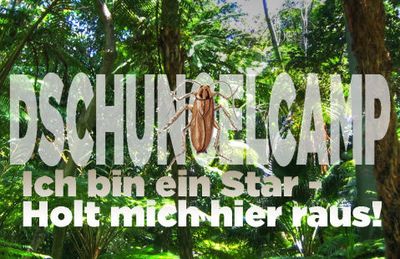Kein TV-Oscar für  RTL-Show »Ich bin ein Star - Holt mich hier raus!