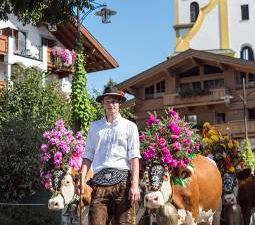 Hoam geht’s, heißt es Ende September fuer die Kuehe in der Region Wilder Kaiser in Tirol im Tal werden Senner und Tiere von Einheimischen wie Gaesten willkommen geheissen Hoam geht’s, heißt es Ende September fuer die Kuehe in der Region Wilder Kaiser in Tirol im Tal werden Senner und Tiere von Einheimischen wie Gaesten willkommen geheissen