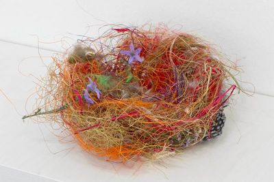 ausstellung kassel