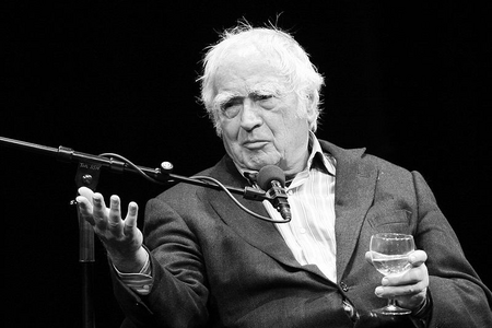Martin Walser, Für Wolfgang Herles ist es die "konzentrierteste Form einer inneren Biografie mit blitzenden Sätzen und blendenden Gedanken".