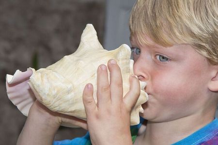 Conch Shell Blowing Contest Florida Keys