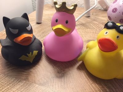 Die GFDK Redaktions Fake News Enten, Ernie, Bernie und Ella, brauchen keine Wissenschaft um zu Wissen was falsch oder richtig ist