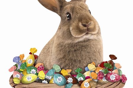Essen und Trinken arko Hase im Korb