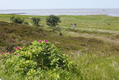 Reisen Nordseeheilbad Cuxhaven Radfahrer