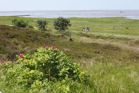Reisen Nordseeheilbad Cuxhaven Radfahrer