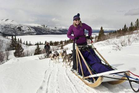 Huskyschlittentour durch das Yukon Territorium
