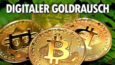 Bitcoin, das Asset der Reichen?