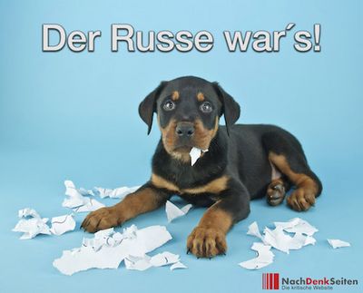 Putin ist schuld Donald Trump Praesident