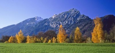 AlpenKLASSIK 2012: LEBENDIG, HAUTNAH von 17. Oktober bis 28. Oktober 2012