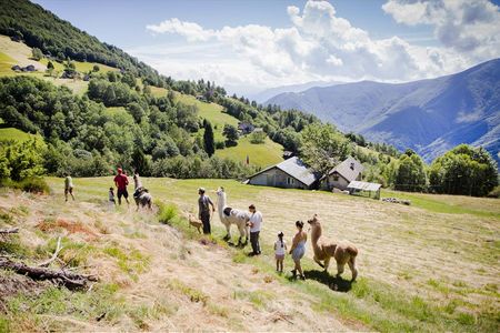 Beim aussichtsreichen Lama-Trekking am Monte Comino im Tessin/Schweiz übernehmen die felligen Weggefährten den Gepäcktransport für ihre menschlichen Gäste