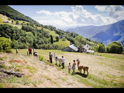 Beim aussichtsreichen Lama-Trekking am Monte Comino im Tessin/Schweiz übernehmen die felligen Weggefährten den Gepäcktransport für ihre menschlichen Gäste