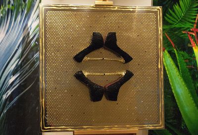 GOLDEN MIRROR GOLDEN MIRROR
