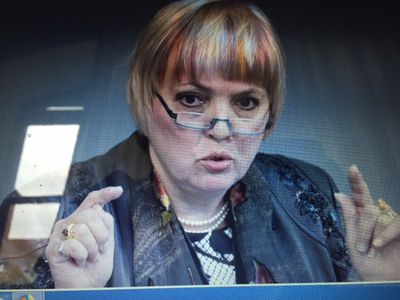 Die Gruenen Polikterin Claudia Roth sagte, Seehofer sei sichtlich vergnuegt gewesen als er verkuendete, dass ausgerechnet an seinem 69. Geburtstag 69 Asylbewerber in ein Land abgeschoben worden seien, in dem weiterer Krieg und Terror wueteten
