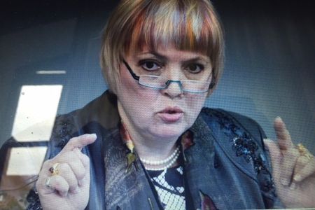 Die Gruenen Polikterin Claudia Roth sagte, Seehofer sei sichtlich vergnuegt gewesen als er verkuendete, dass ausgerechnet an seinem 69. Geburtstag 69 Asylbewerber in ein Land abgeschoben worden seien, in dem weiterer Krieg und Terror wueteten