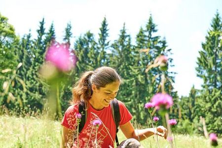 Runterkommen und zu sich finden im Bayerischen Wald – zahlreiche Wanderwege starten direkt beim Hotel Bodenmaiser Hof