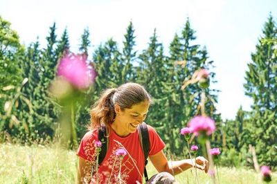 Runterkommen und zu sich finden im Bayerischen Wald – zahlreiche Wanderwege starten direkt beim Hotel Bodenmaiser Hof